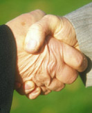 Colors are reproduced precisely